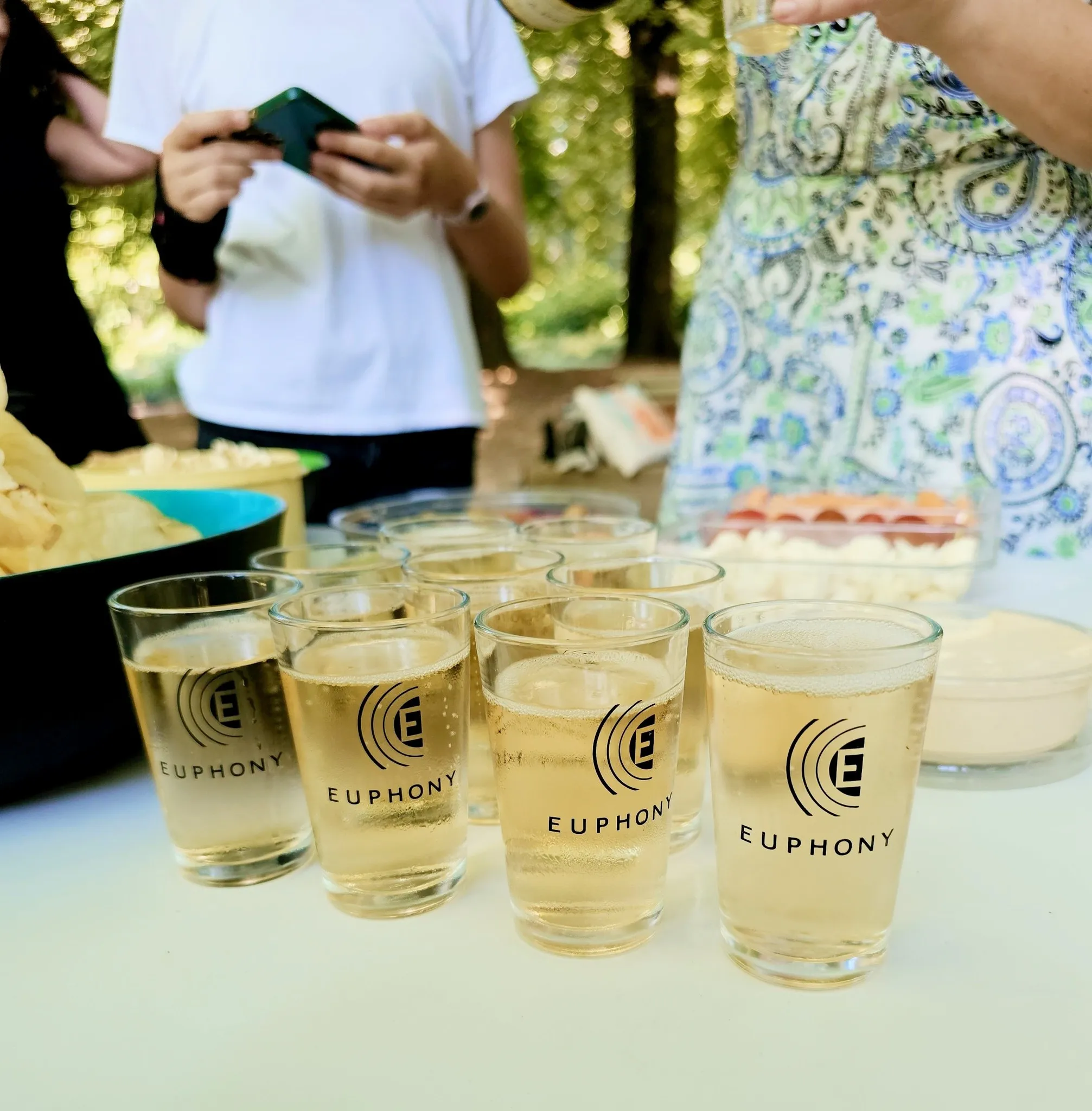 Verres brandés Euphony